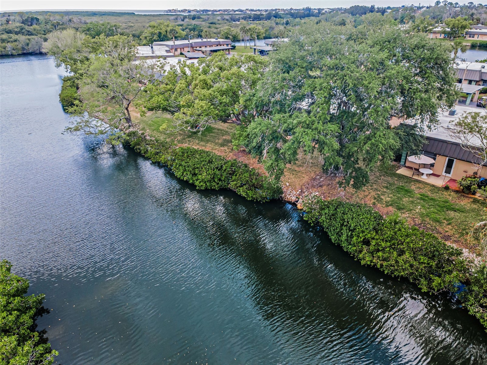 4200 Hampton Drive New Port Richey FL 34652 TB8502819 image49