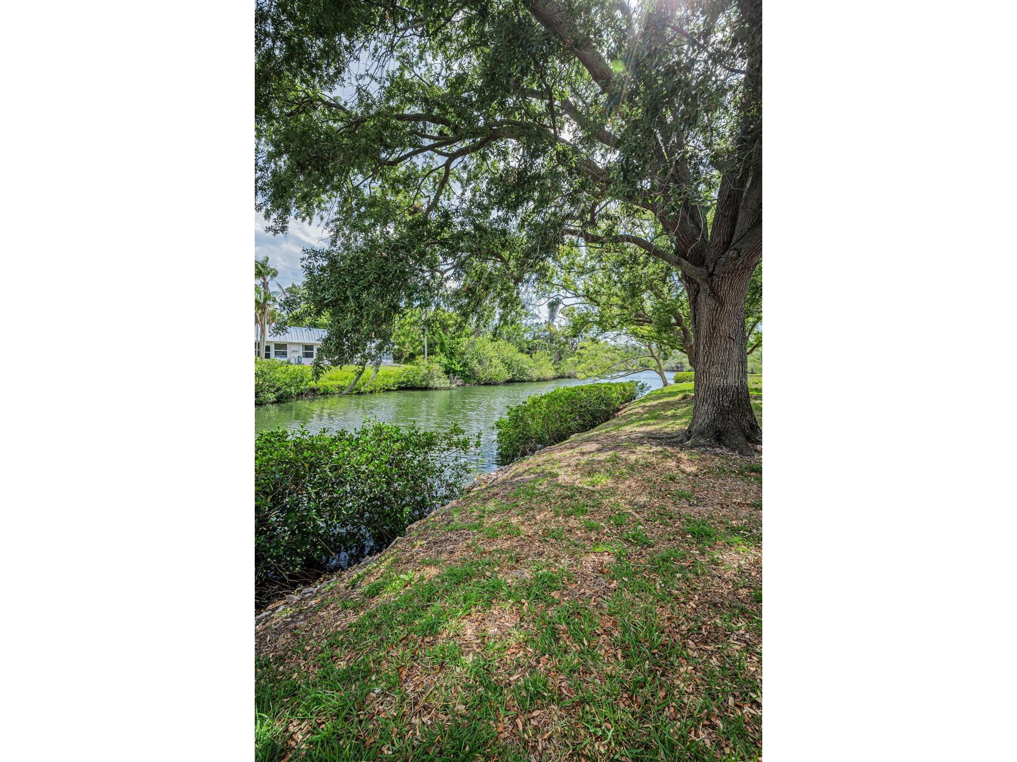 4200 Hampton Drive New Port Richey FL 34652 TB8502819 image50