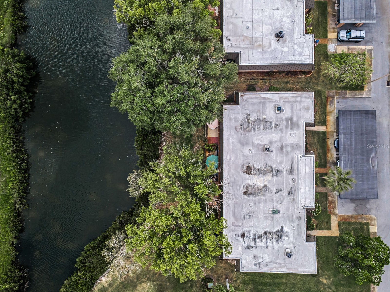 4200 Hampton Drive New Port Richey FL 34652 TB8502819 image6