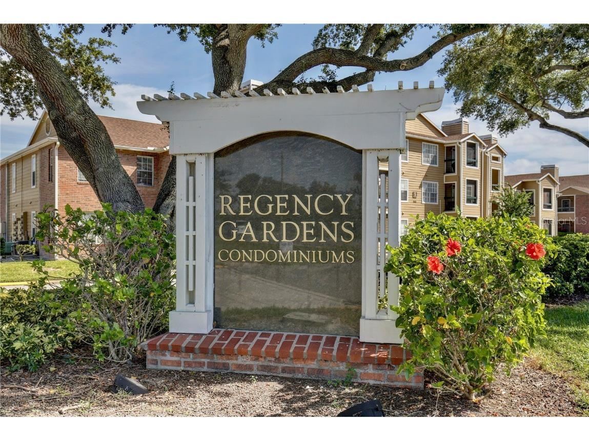 4200 Thornbriar Lane #E207 Orlando FL 32822 O6346073 image21