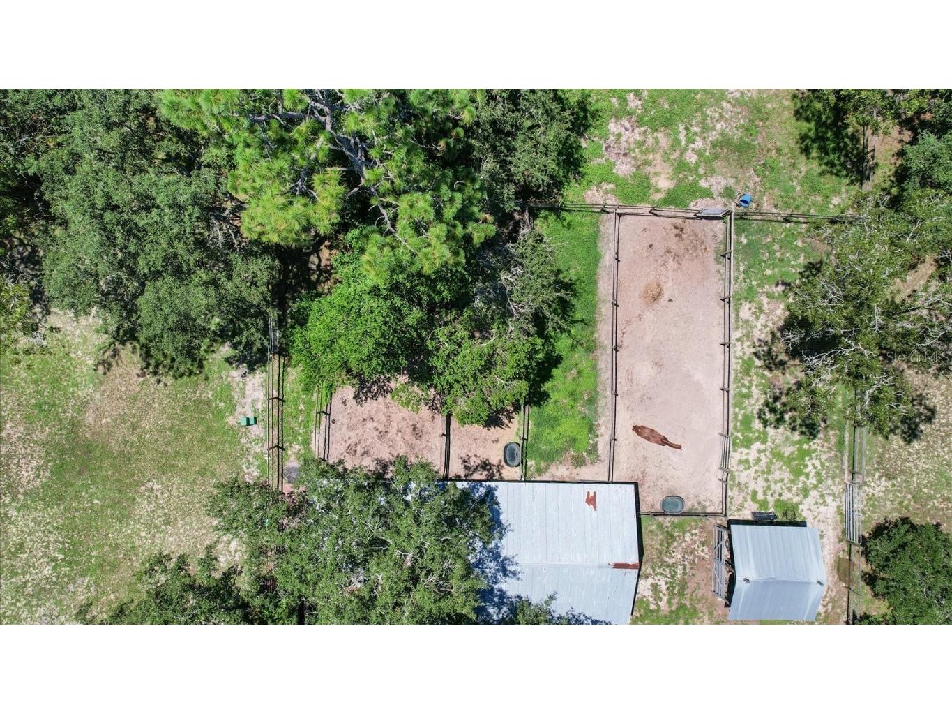 4200 W Breckenridge Court Beverly Hills FL 34465 OM706252 image63