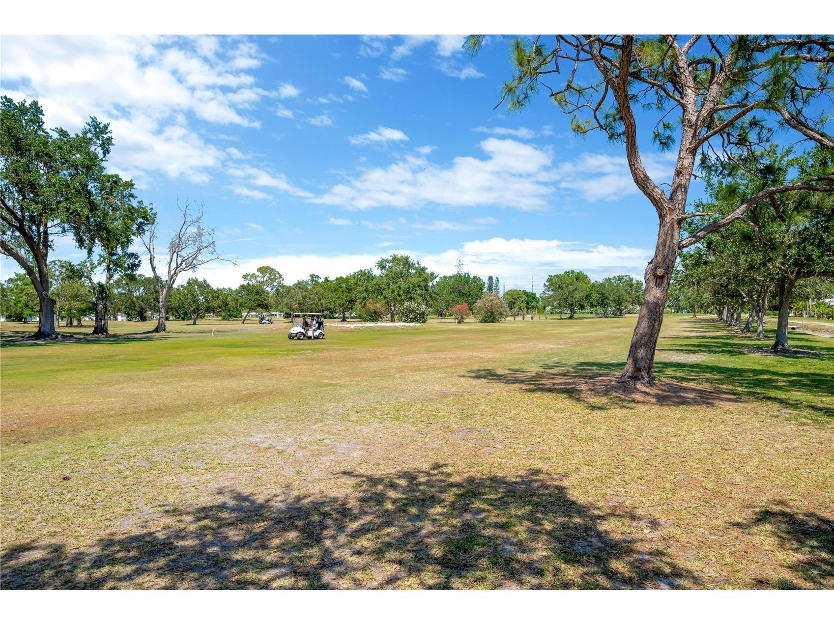 4201 93rd Terrace N Pinellas Park FL 33782 TB8510701 image55