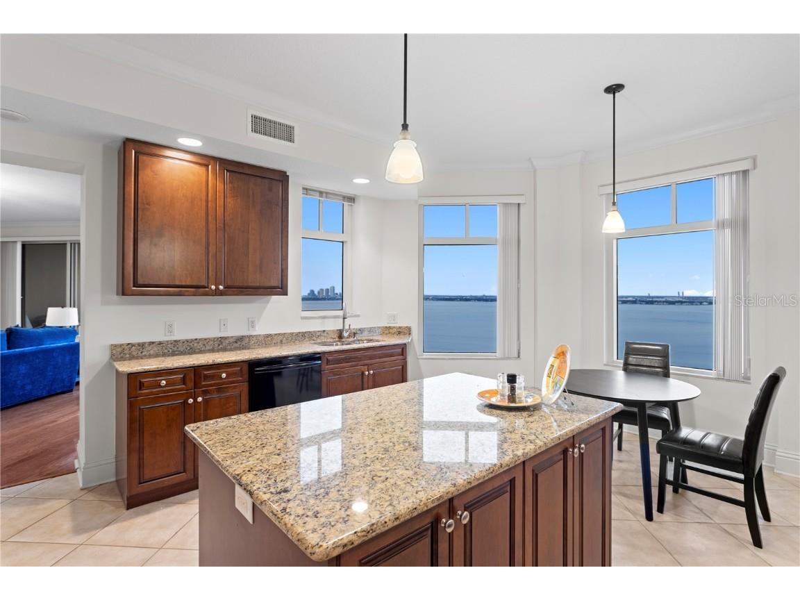 4201 Bayshore Boulevard #1902 Tampa FL 33611 - HILLSBOROUGH BAY TB8449694 image22