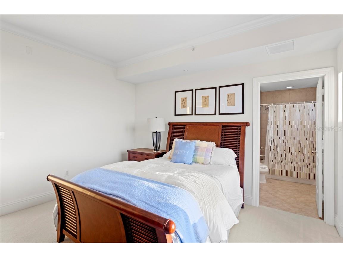 4201 Bayshore Boulevard #1902 Tampa FL 33611 - HILLSBOROUGH BAY TB8449694 image39