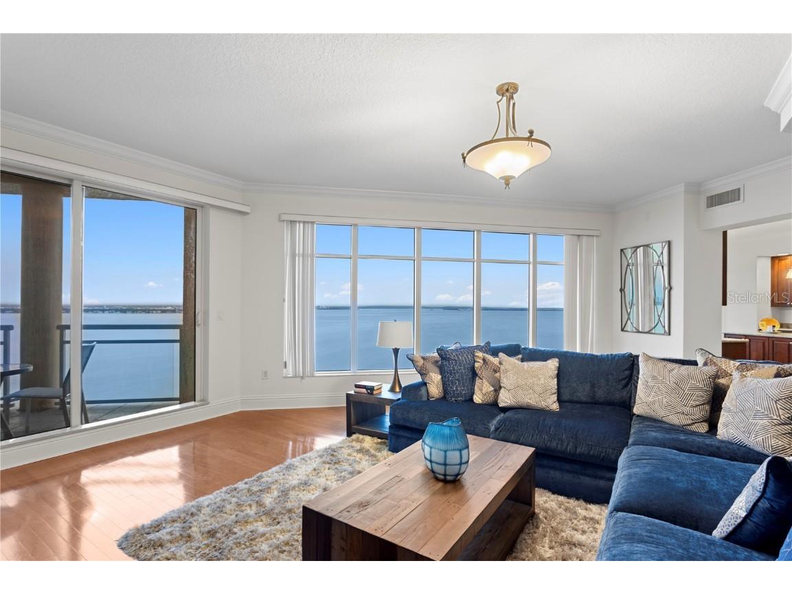 4201 Bayshore Boulevard #1902 Tampa FL 33611 - HILLSBOROUGH BAY TB8449694 image6