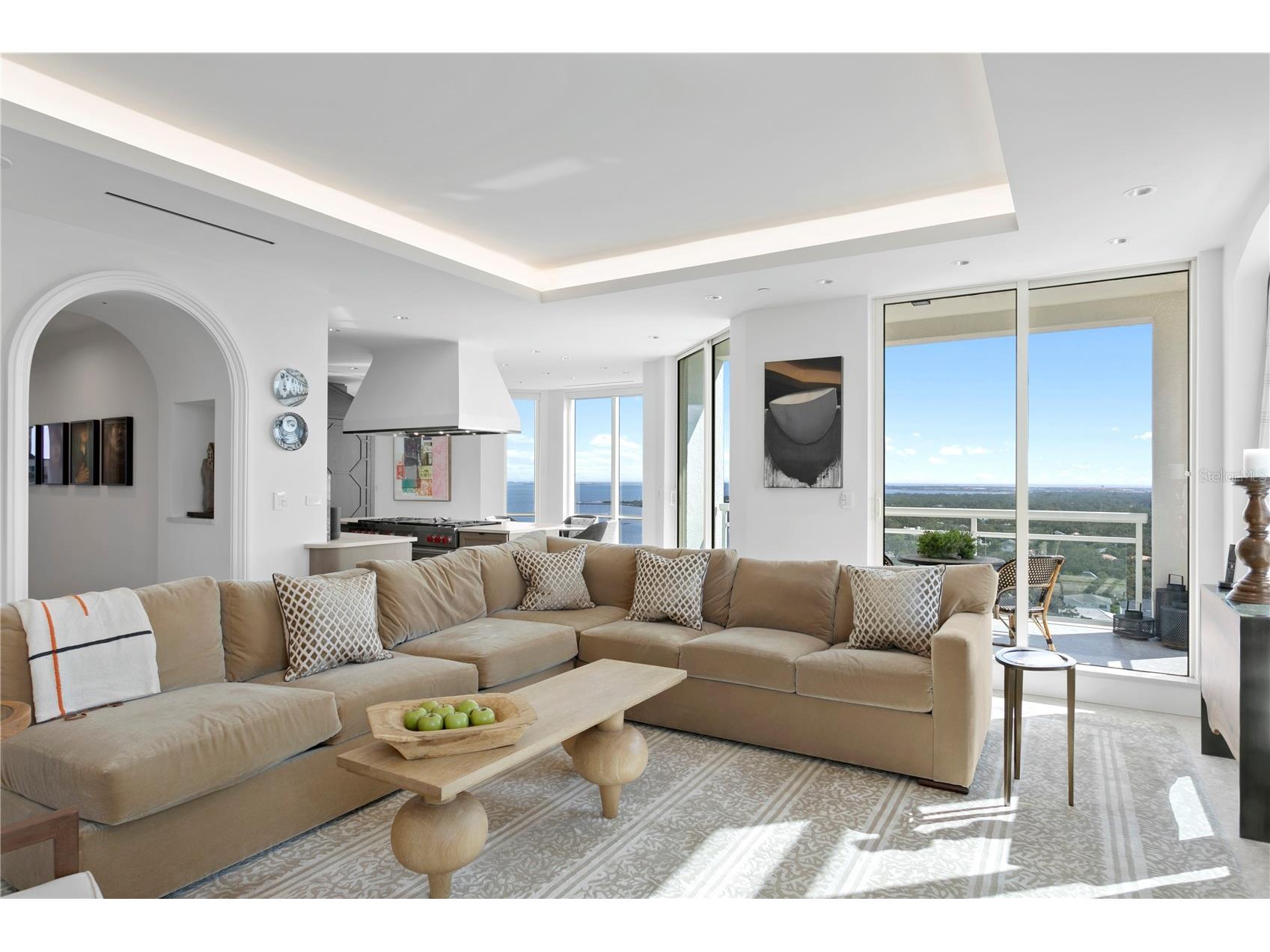 4201 Bayshore Boulevard #2101 Tampa FL 33611 TB8485501 image21