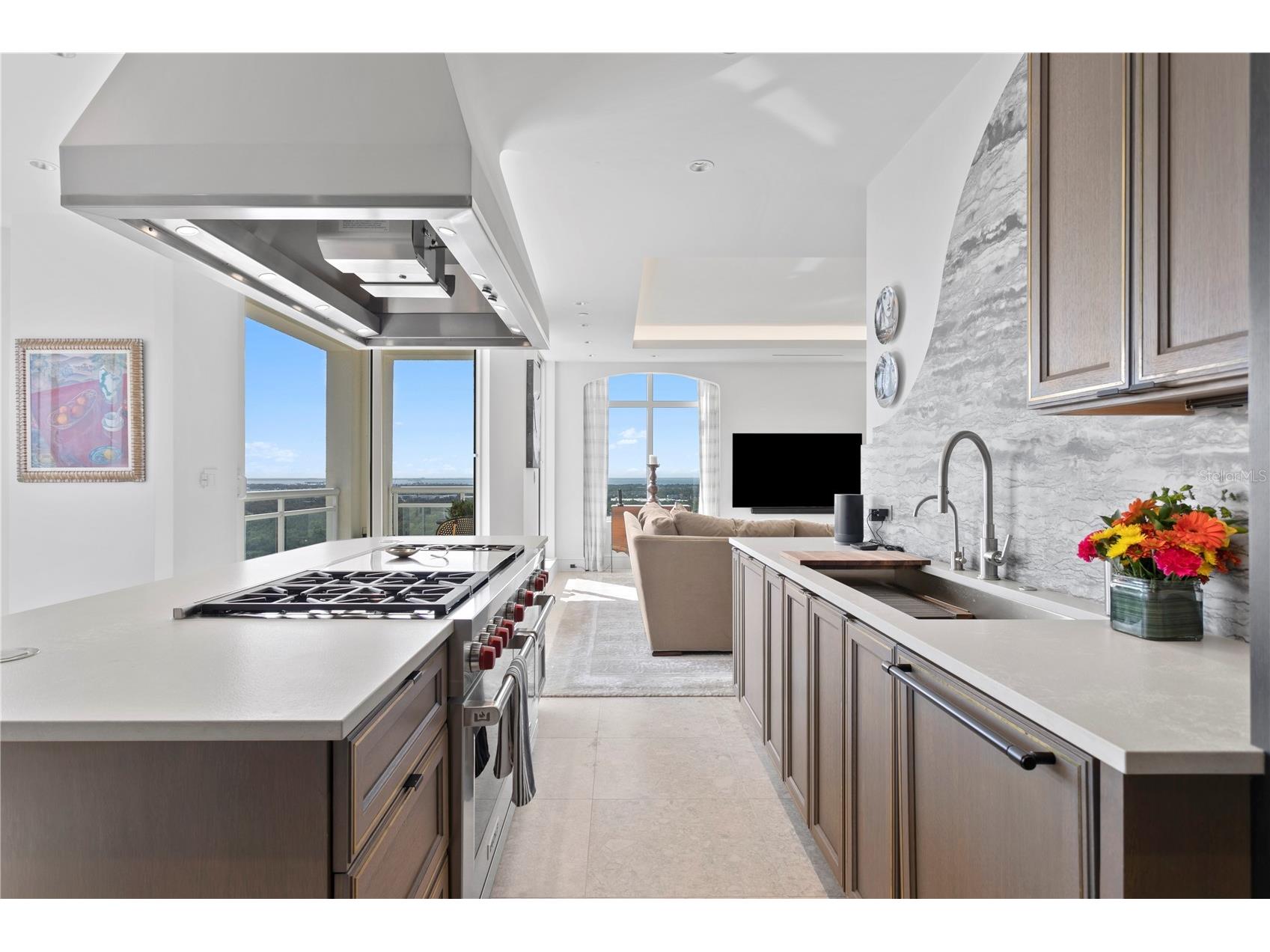 4201 Bayshore Boulevard #2101 Tampa FL 33611 TB8485501 image28