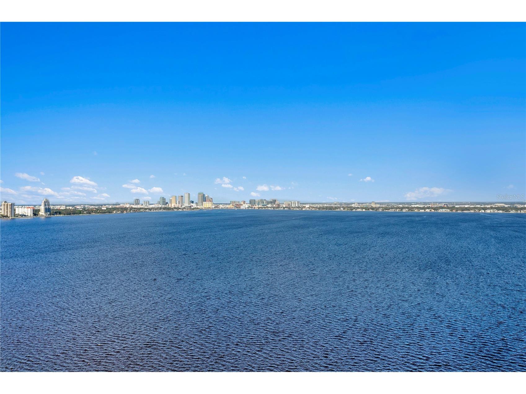 4201 Bayshore Boulevard #2101 Tampa FL 33611 TB8485501 image53