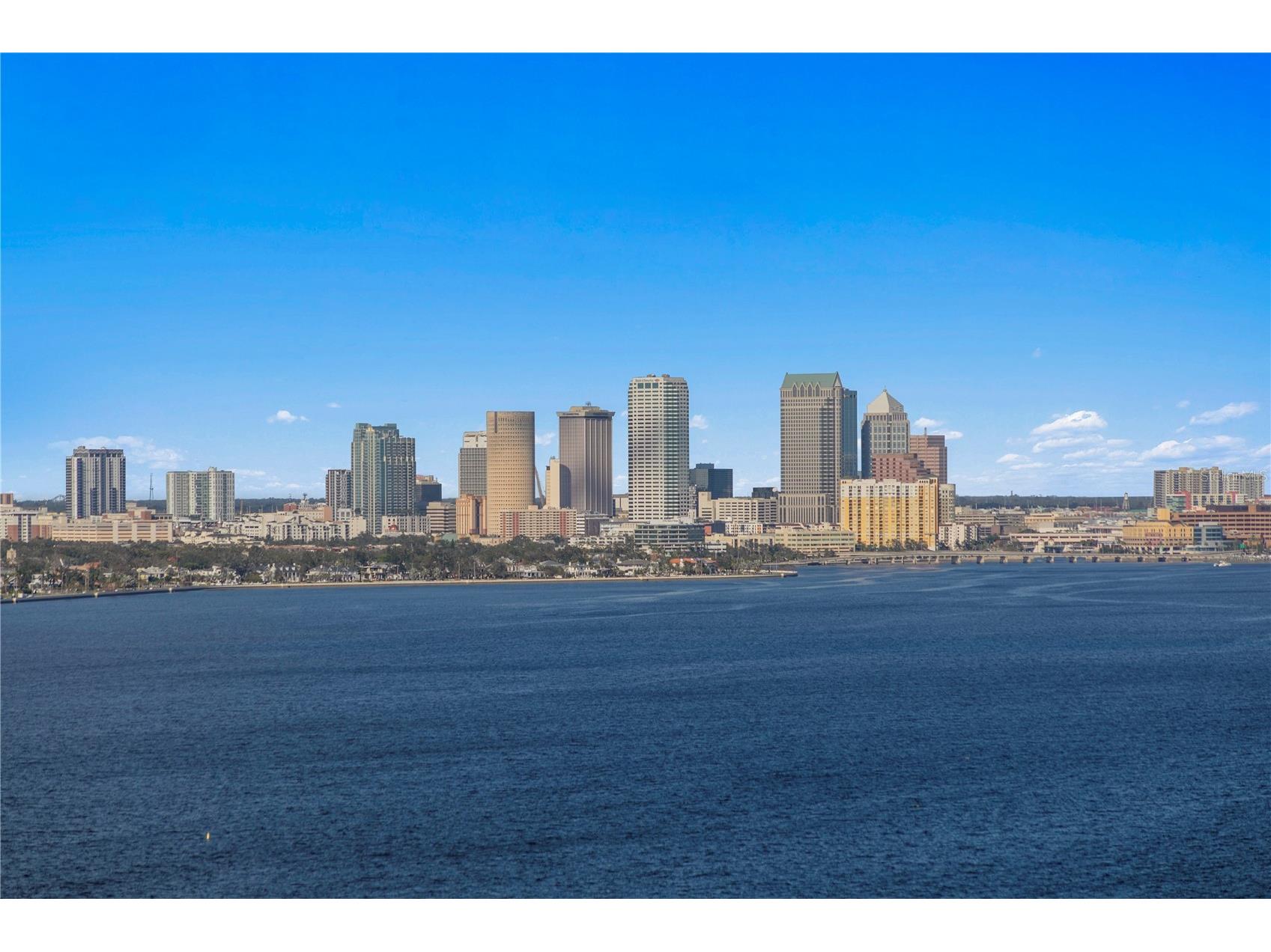 4201 Bayshore Boulevard #2101 Tampa FL 33611 TB8485501 image55