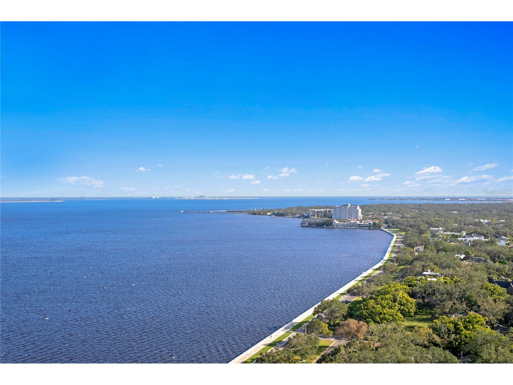 4201 Bayshore Boulevard #2101 Tampa FL 33611 TB8485501 image88