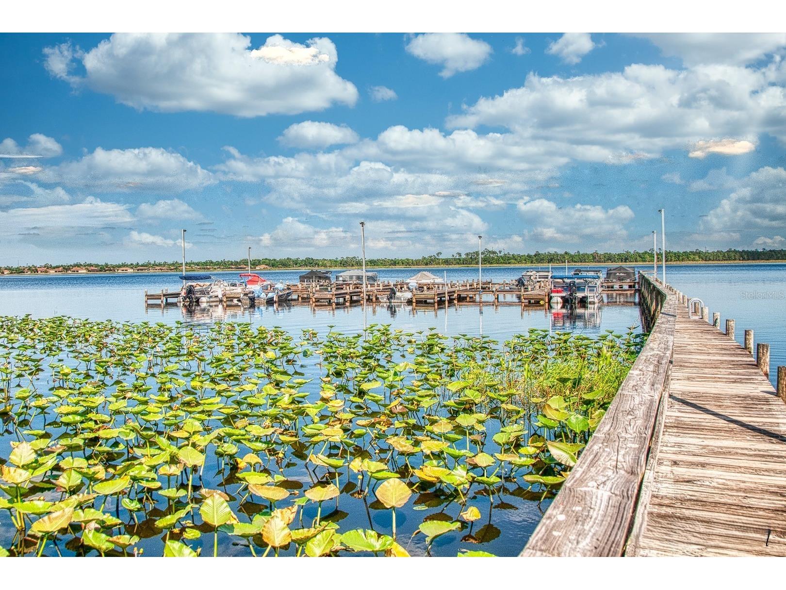 4201 Berwick Drive Lake Wales FL 33859 - LAKE ASHTON P4938190 image100