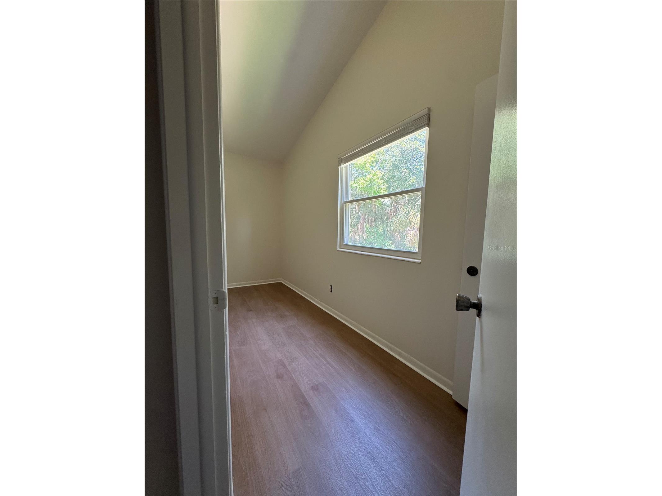4201 La Dega Court Tampa FL 33611 TB8499737 image15