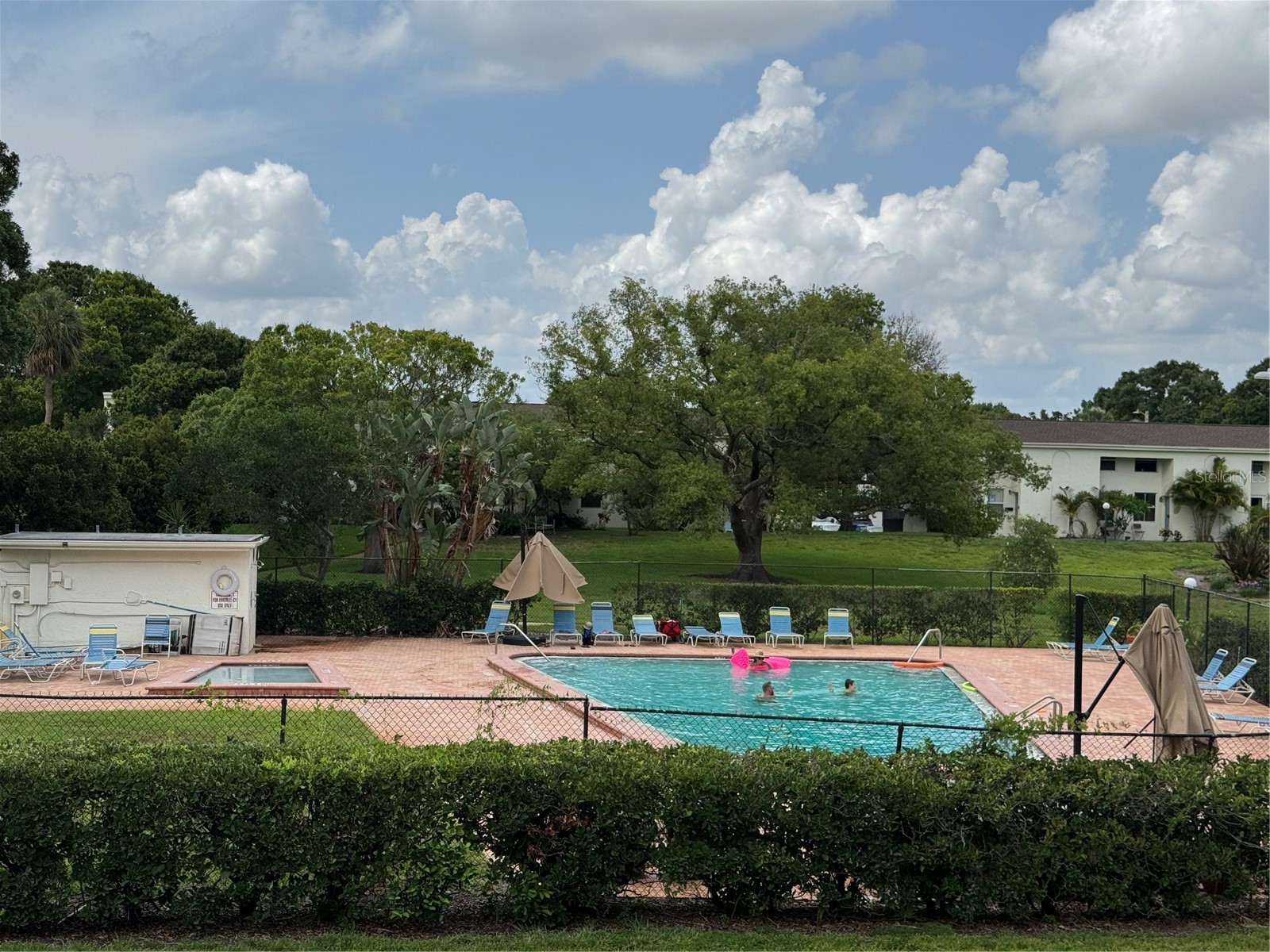 4201 La Dega Court Tampa FL 33611 TB8499737 image28