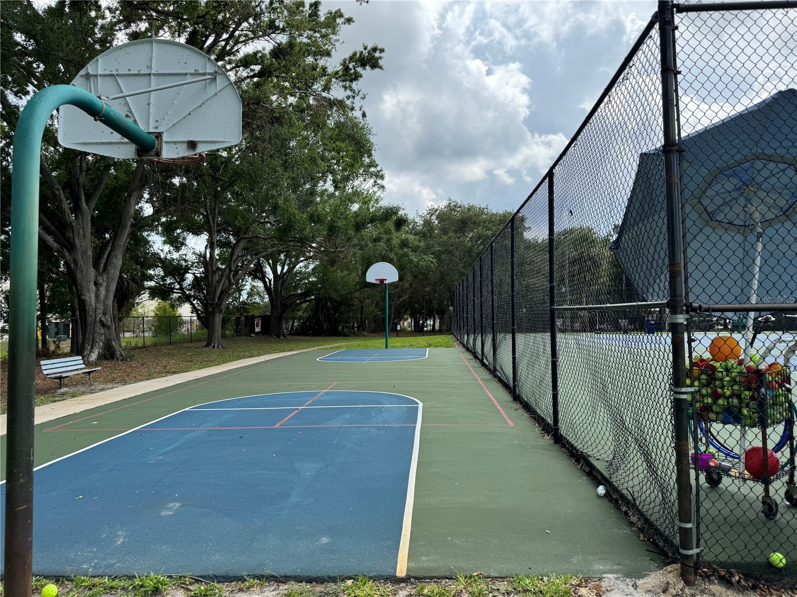 4201 La Dega Court Tampa FL 33611 TB8499737 image30