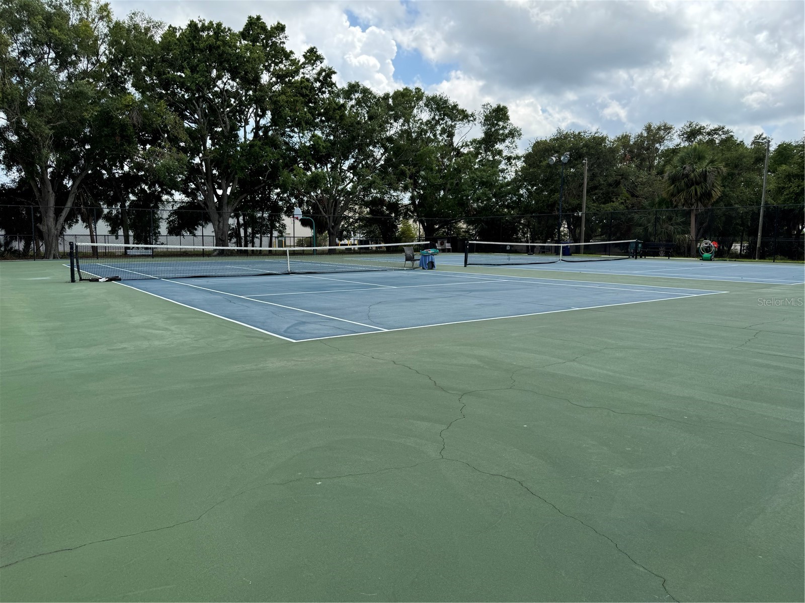 4201 La Dega Court Tampa FL 33611 TB8499737 image31