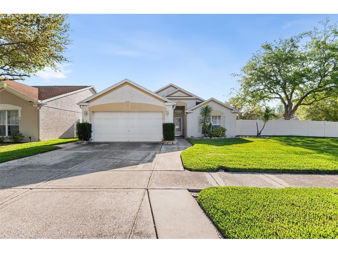 4201 Pine Isle Drive Lutz FL 33558 O6189176 image1
