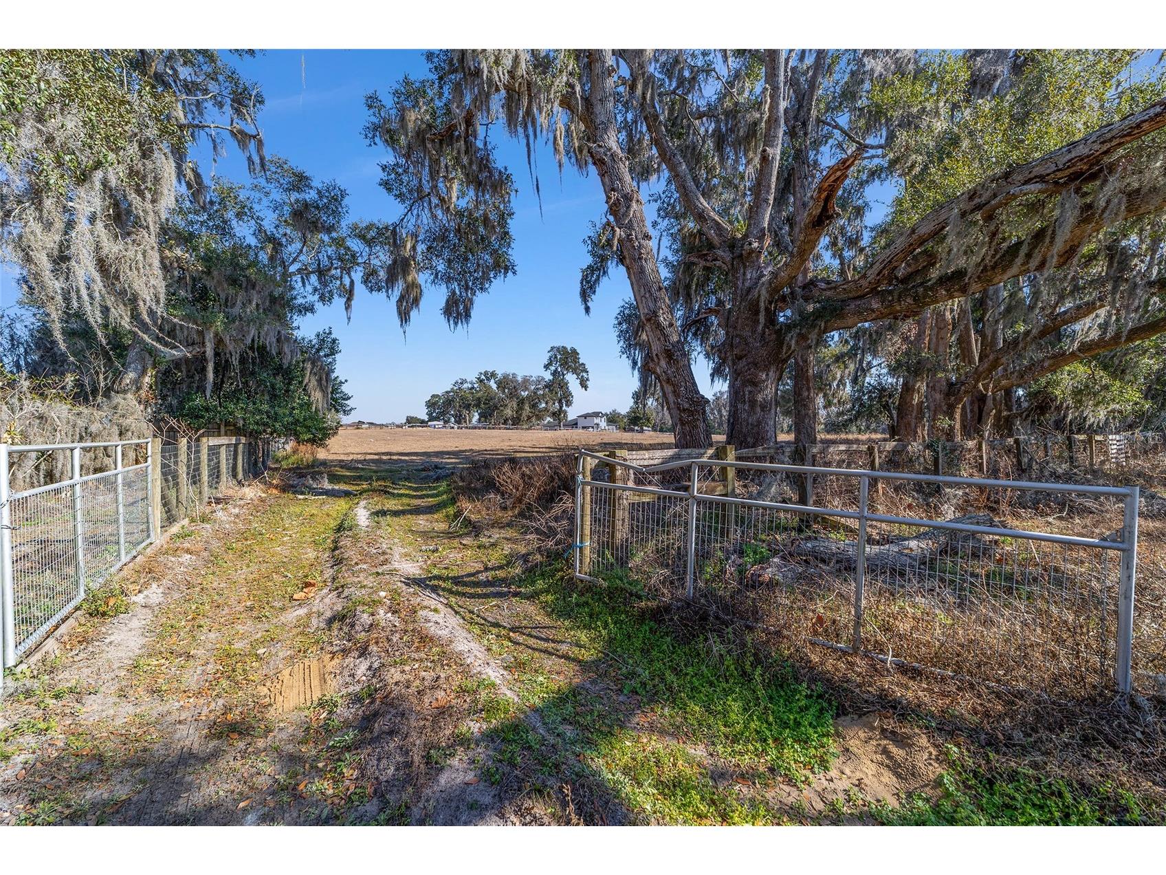 4201 SE 110th Street Belleview FL 34420 OM717558 image1