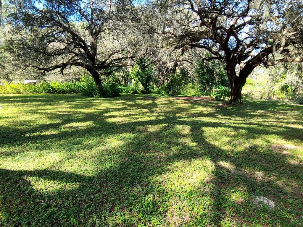 4201 Transue Drive Zephyrhills FL 33542 T3495682 image1