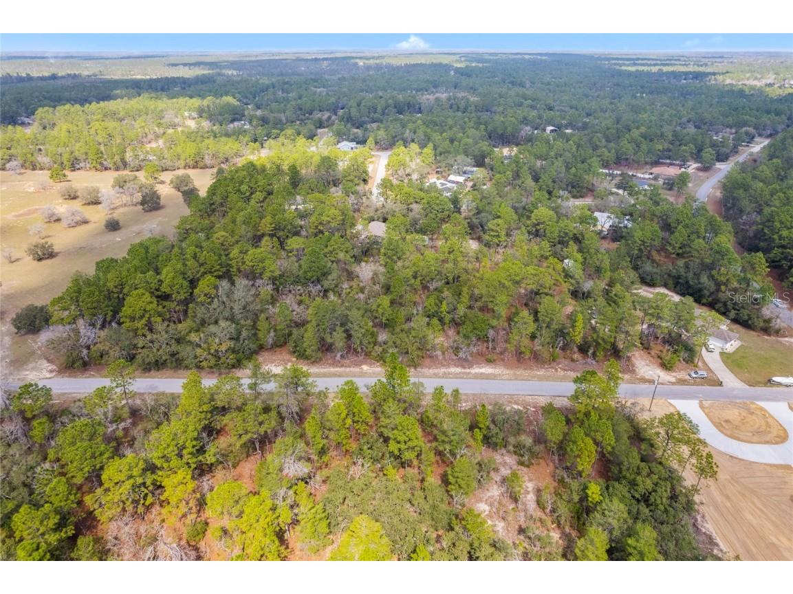 4201 W Fountain Lane Citrus Springs FL 34433 OM696322 image1