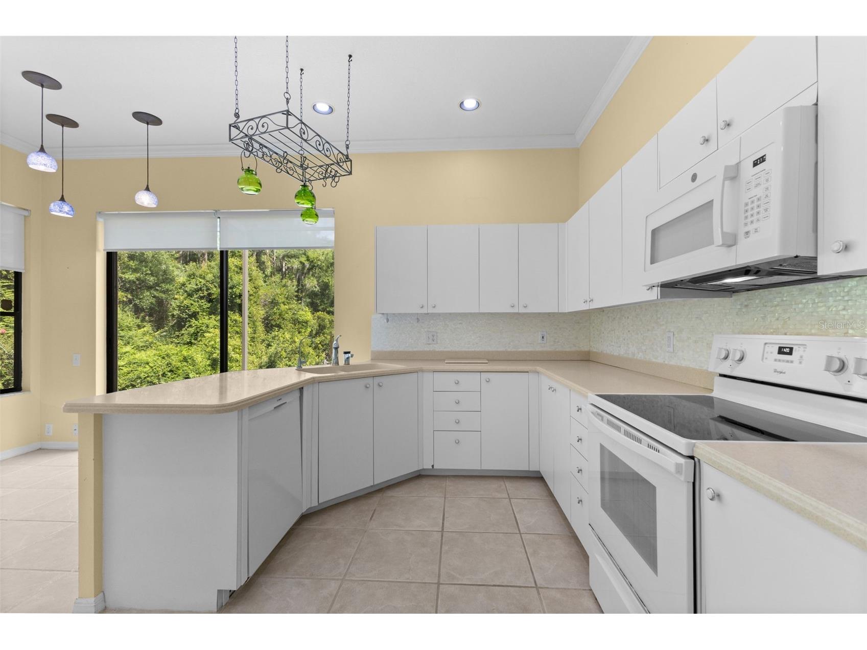 4201 Waterscape Drive Palm Harbor FL 34685 TB8526276 image18
