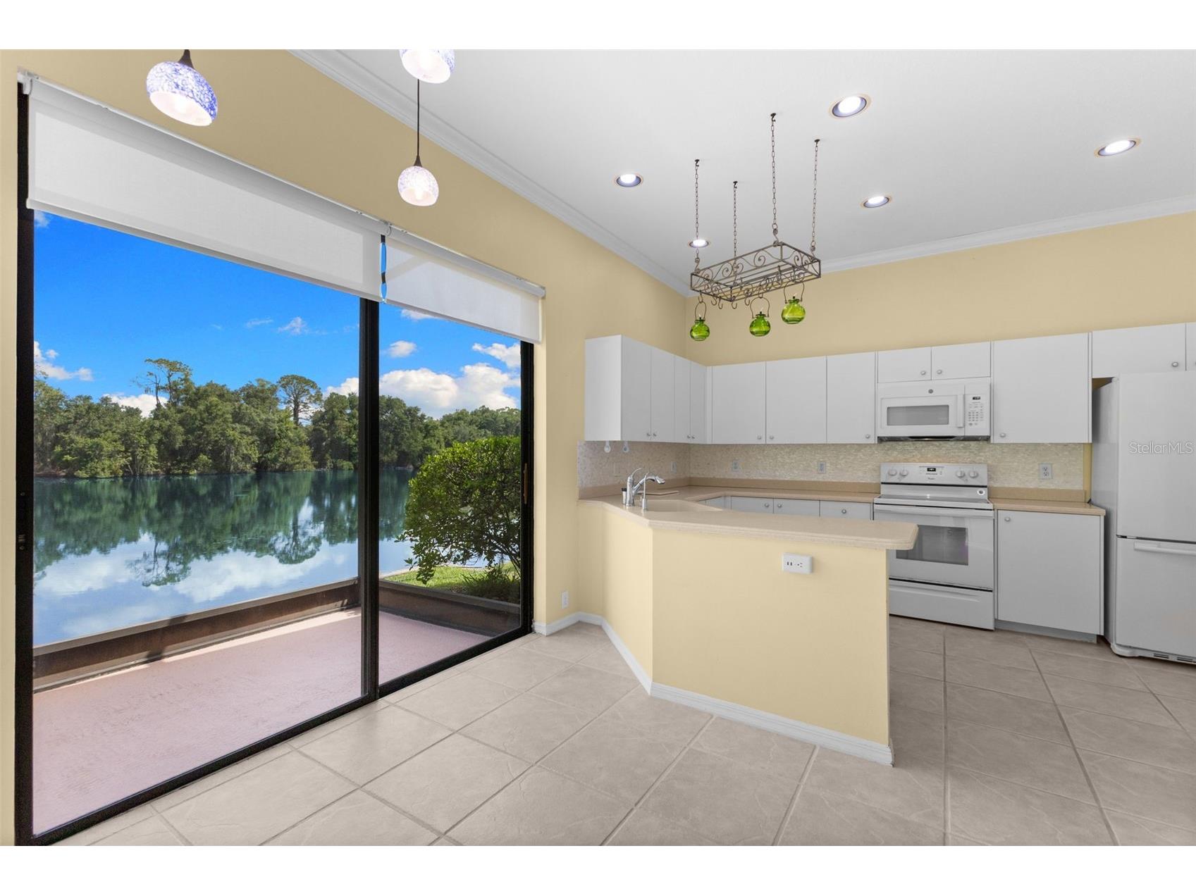 4201 Waterscape Drive Palm Harbor FL 34685 TB8526276 image21