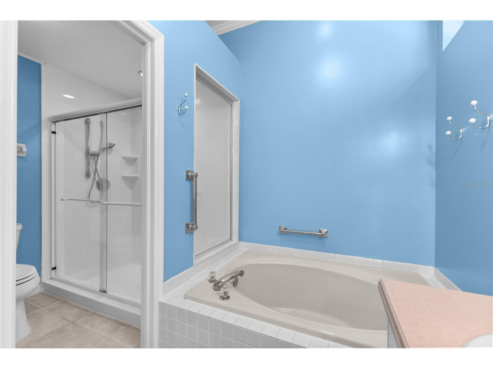 4201 Waterscape Drive Palm Harbor FL 34685 TB8526276 image26