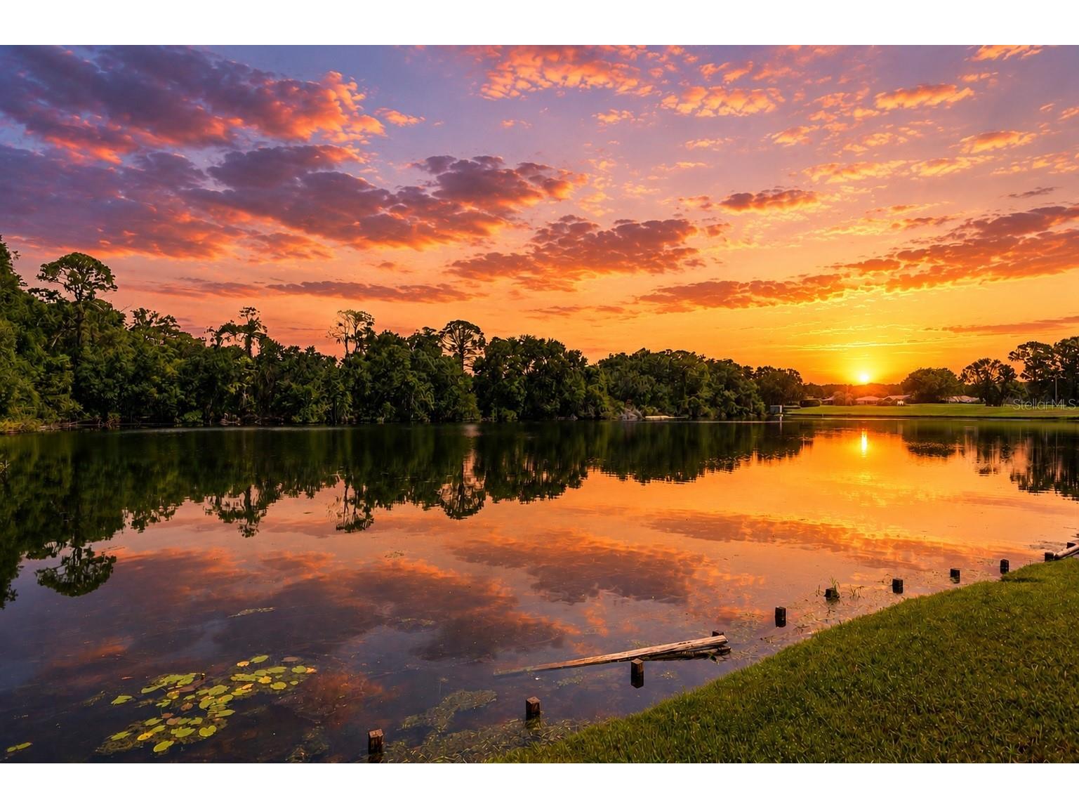 4201 Waterscape Drive Palm Harbor FL 34685 TB8526276 image38
