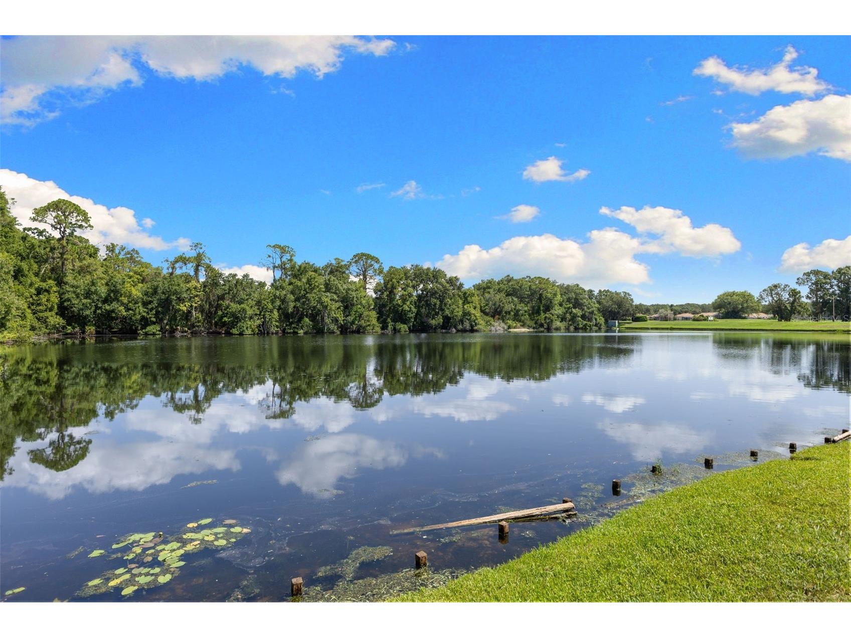 4201 Waterscape Drive Palm Harbor FL 34685 TB8526276 image39