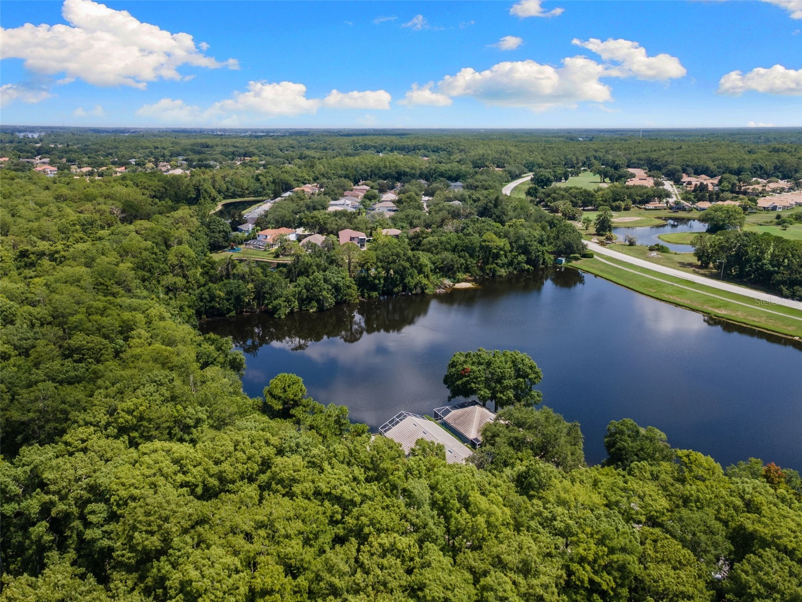 4201 Waterscape Drive Palm Harbor FL 34685 TB8526276 image40