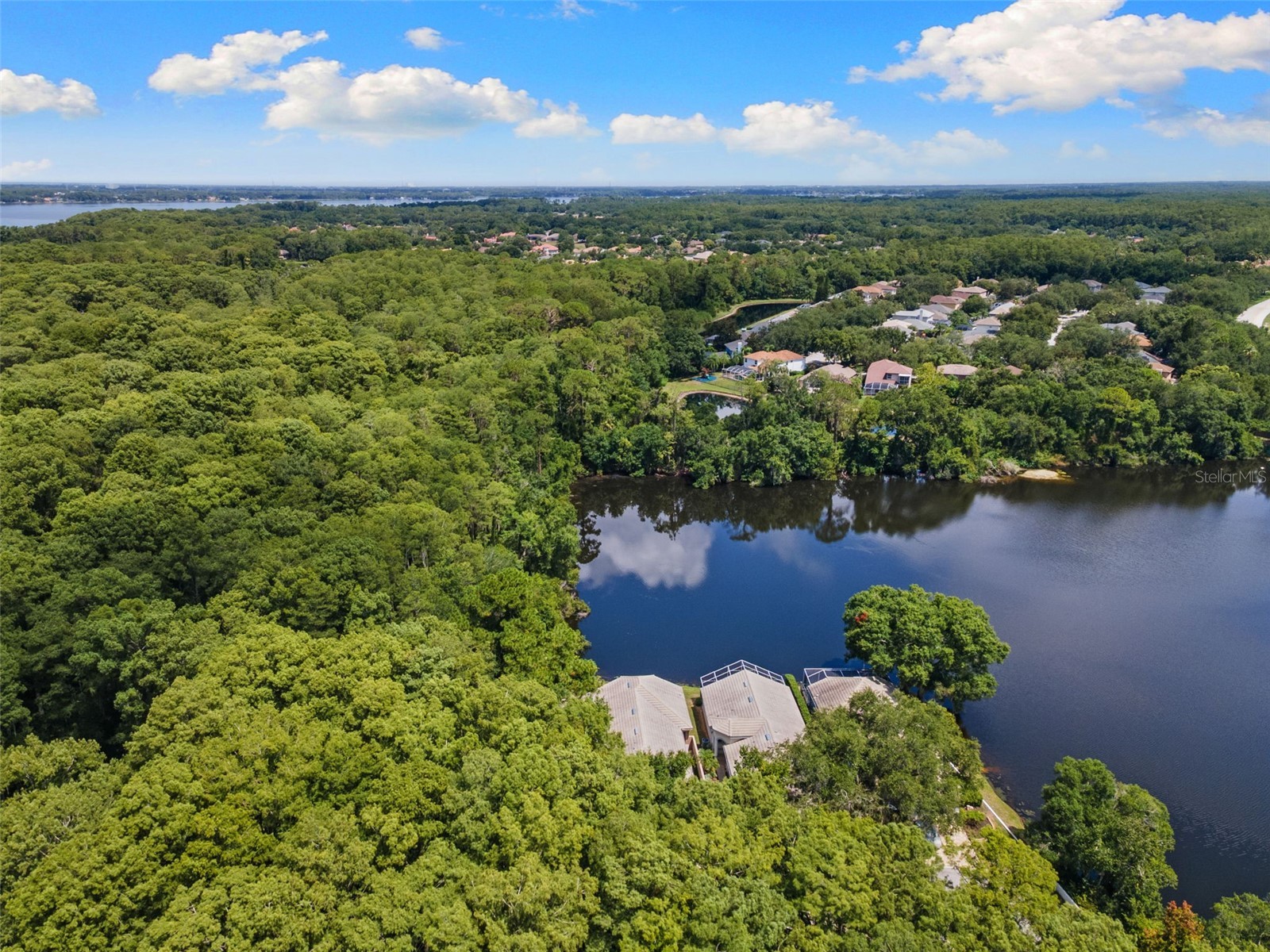 4201 Waterscape Drive Palm Harbor FL 34685 TB8526276 image41