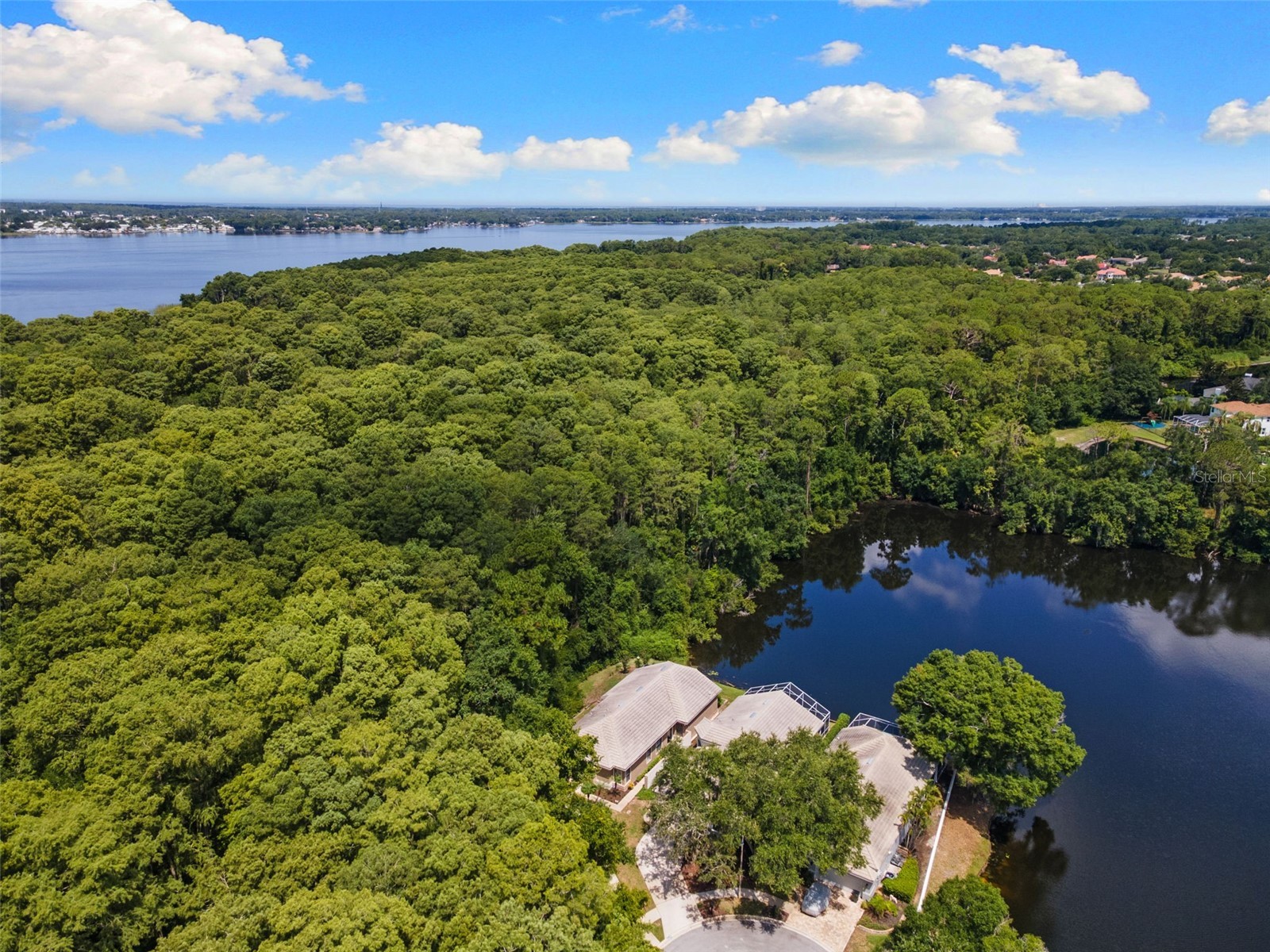 4201 Waterscape Drive Palm Harbor FL 34685 TB8526276 image42