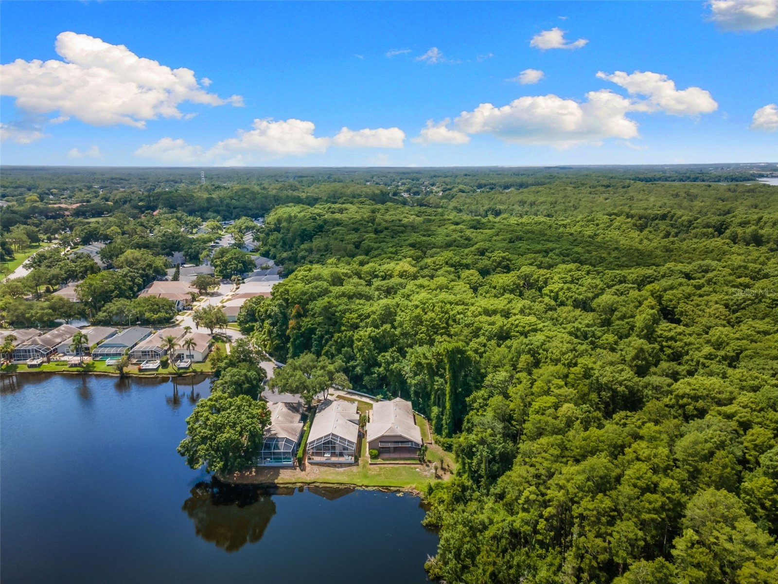 4201 Waterscape Drive Palm Harbor FL 34685 TB8526276 image44