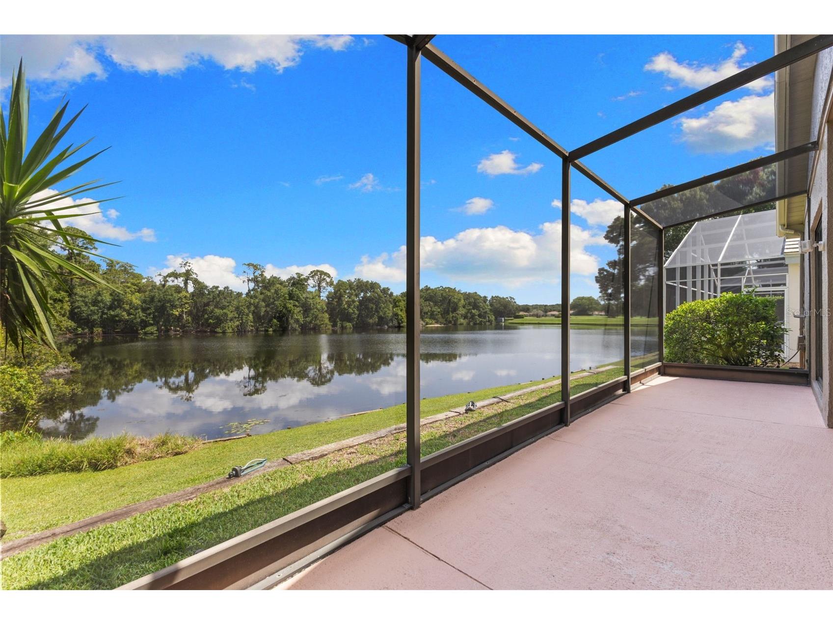 4201 Waterscape Drive Palm Harbor FL 34685 TB8526276 image5