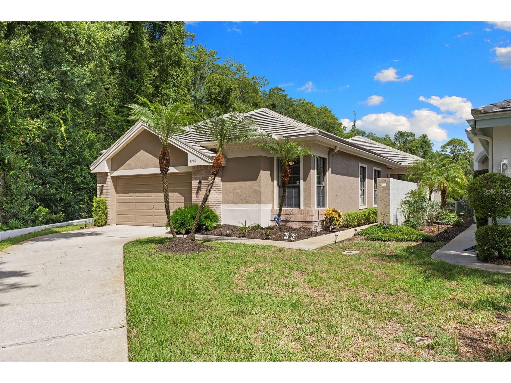 4201 Waterscape Drive Palm Harbor FL 34685 TB8526276 image6
