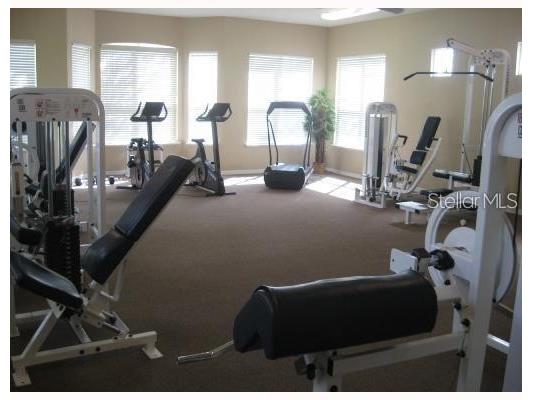 4201 Woodstorks Walk Way #3106 Lutz FL 33558 TB8452150 image11