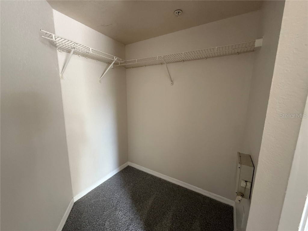 4201 Woodstorks Walk Way #3106 Lutz FL 33558 TB8452150 image6