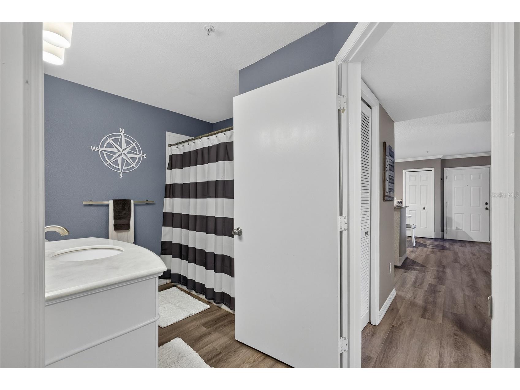 4201 Woodstorks Walk Way #3109 Lutz FL 33558 TB8452428 image11