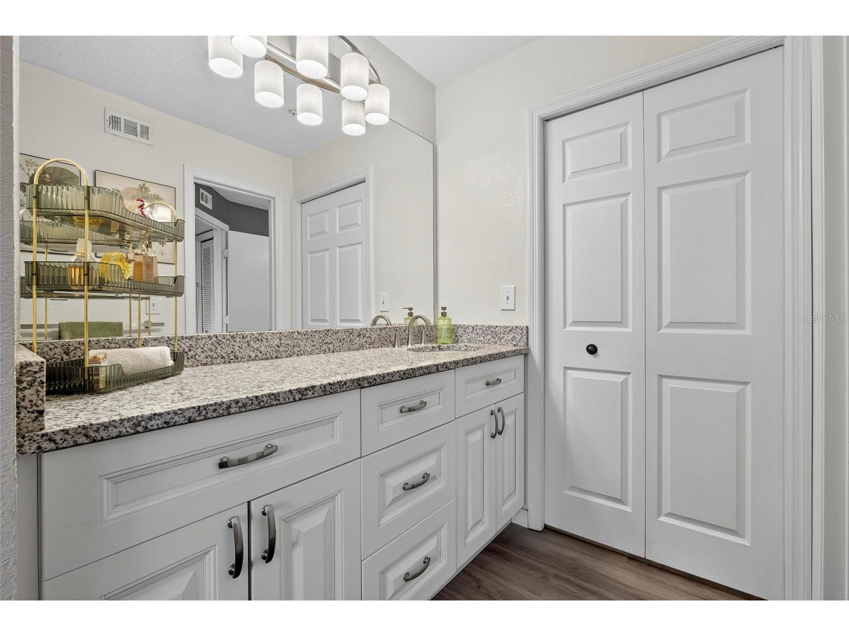 4201 Woodstorks Walk Way #3109 Lutz FL 33558 TB8452428 image13