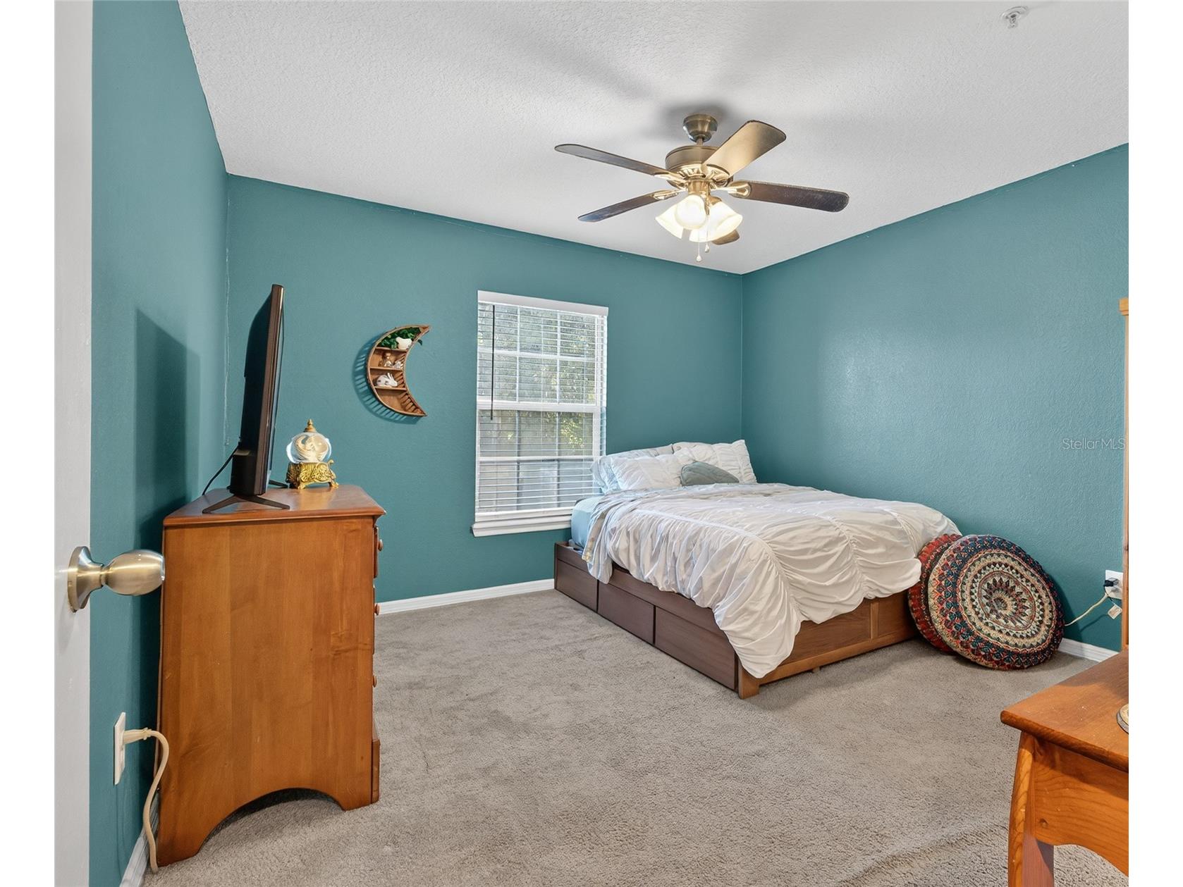 4201 Woodstorks Walk Way #3109 Lutz FL 33558 TB8452428 image14