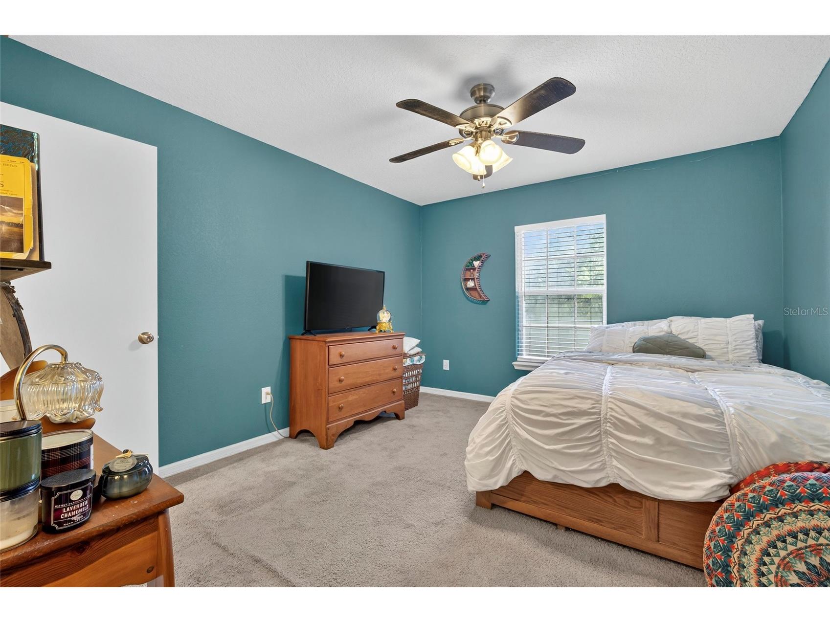 4201 Woodstorks Walk Way #3109 Lutz FL 33558 TB8452428 image15