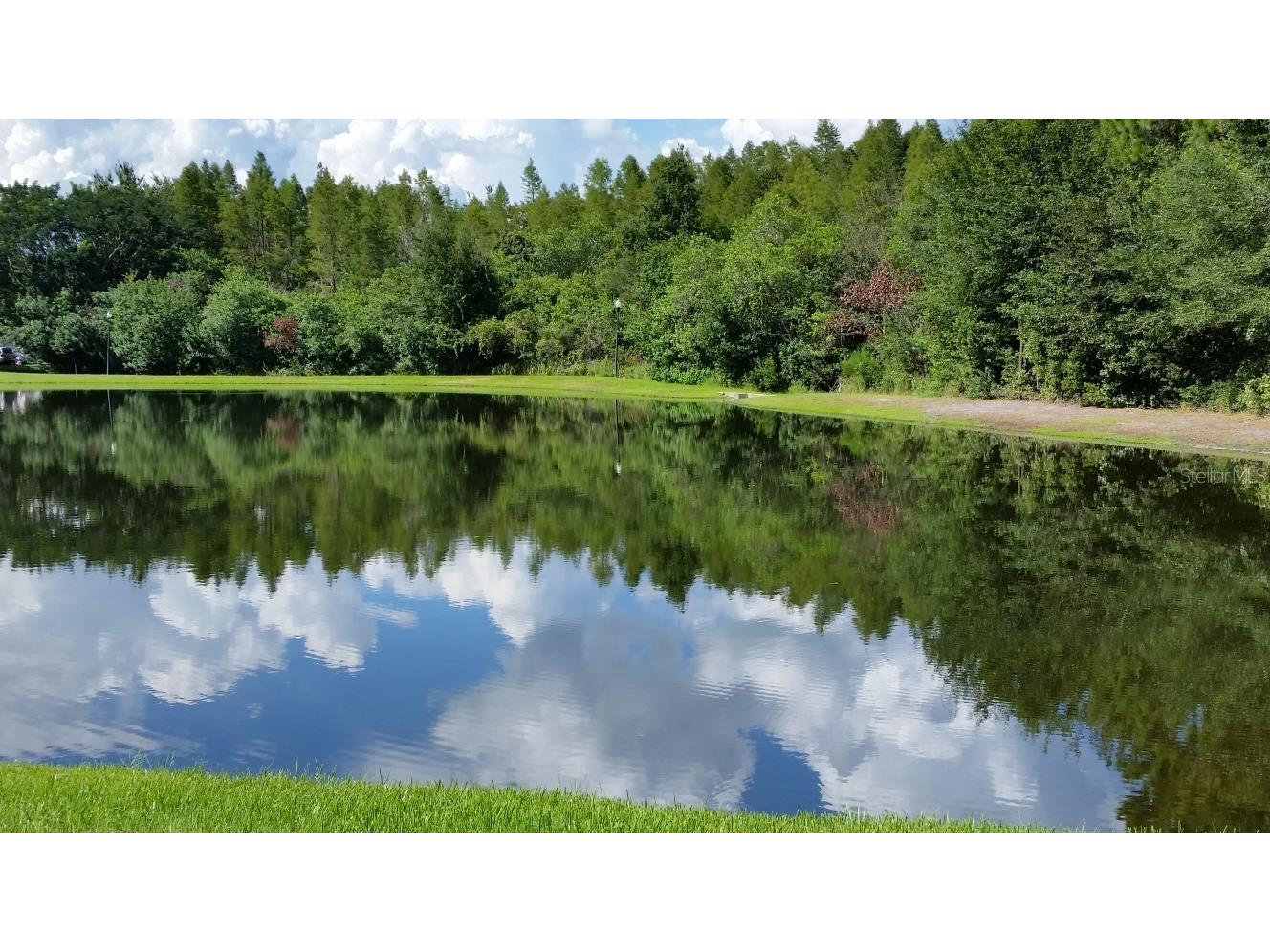 4201 Woodstorks Walk Way #3109 Lutz FL 33558 TB8452428 image19