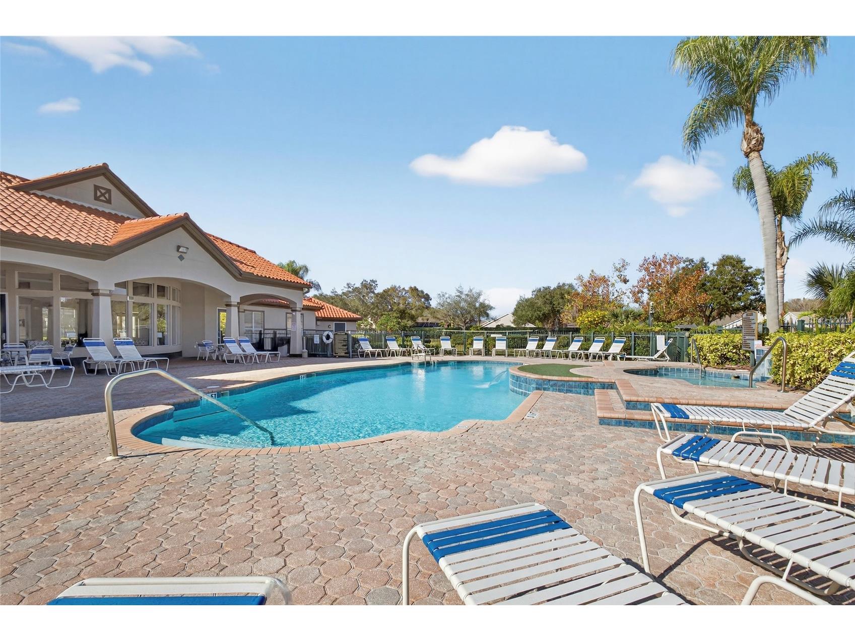 4201 Woodstorks Walk Way #3109 Lutz FL 33558 TB8452428 image20