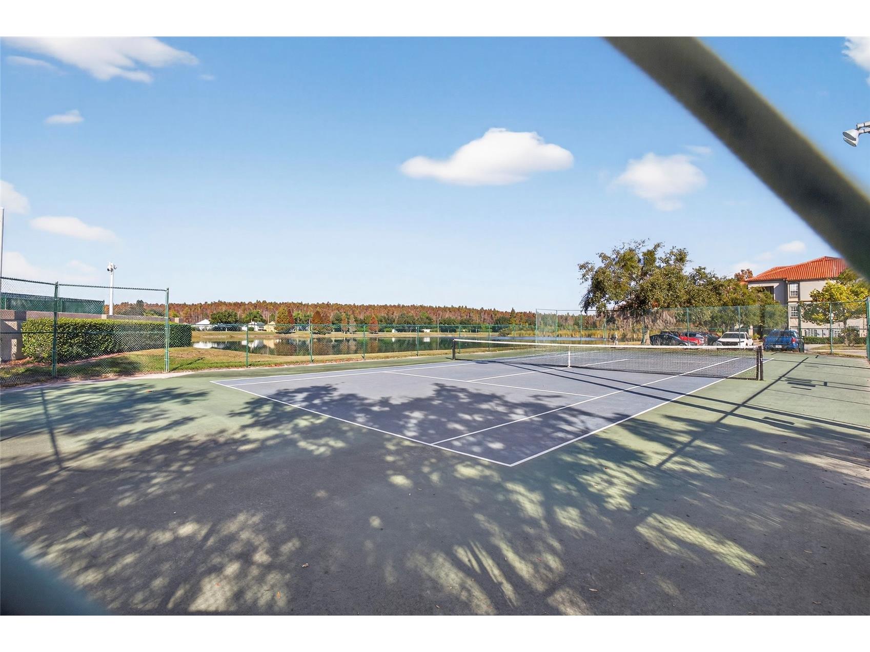 4201 Woodstorks Walk Way #3109 Lutz FL 33558 TB8452428 image24