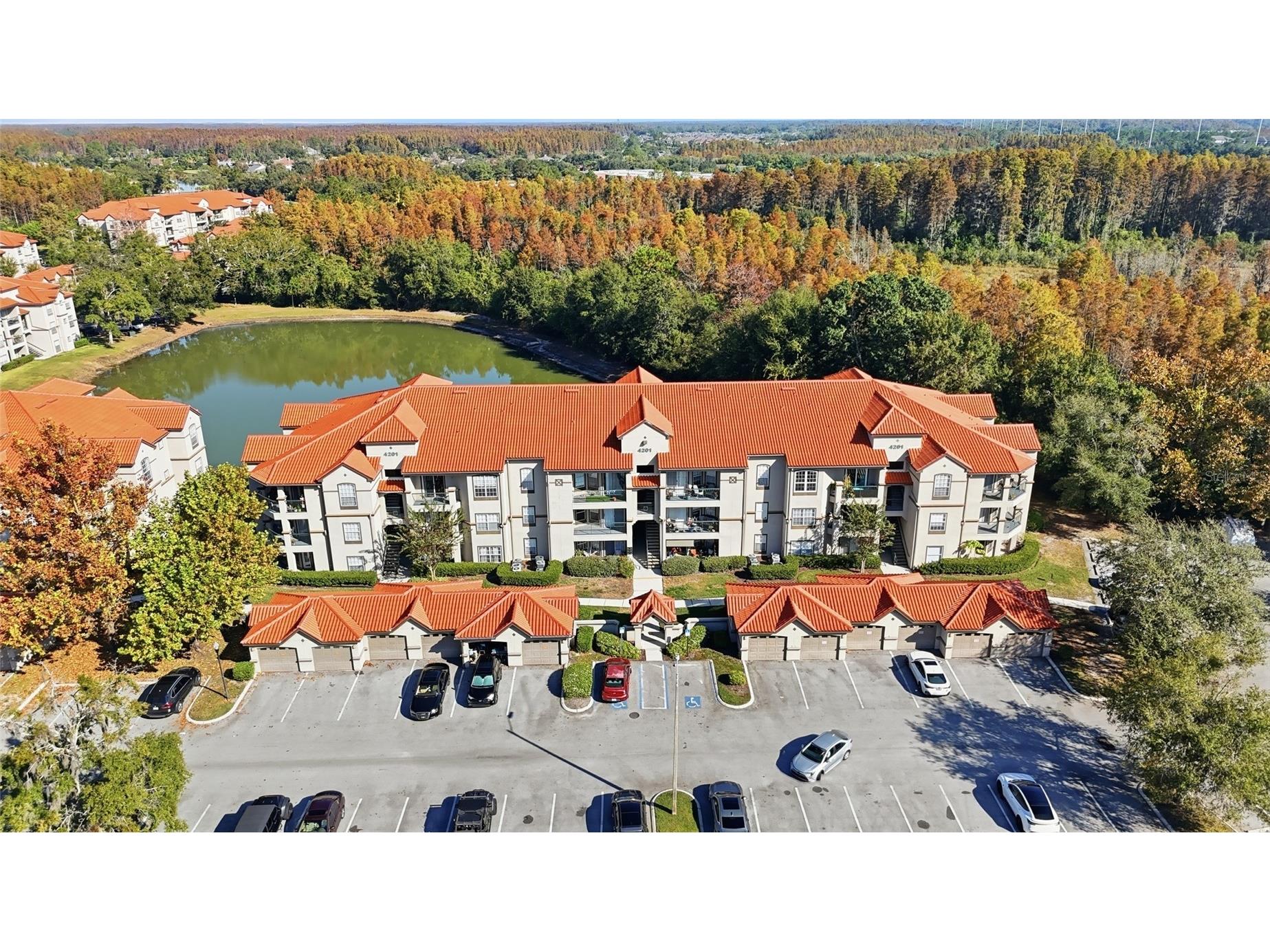 4201 Woodstorks Walk Way #3109 Lutz FL 33558 TB8452428 image25