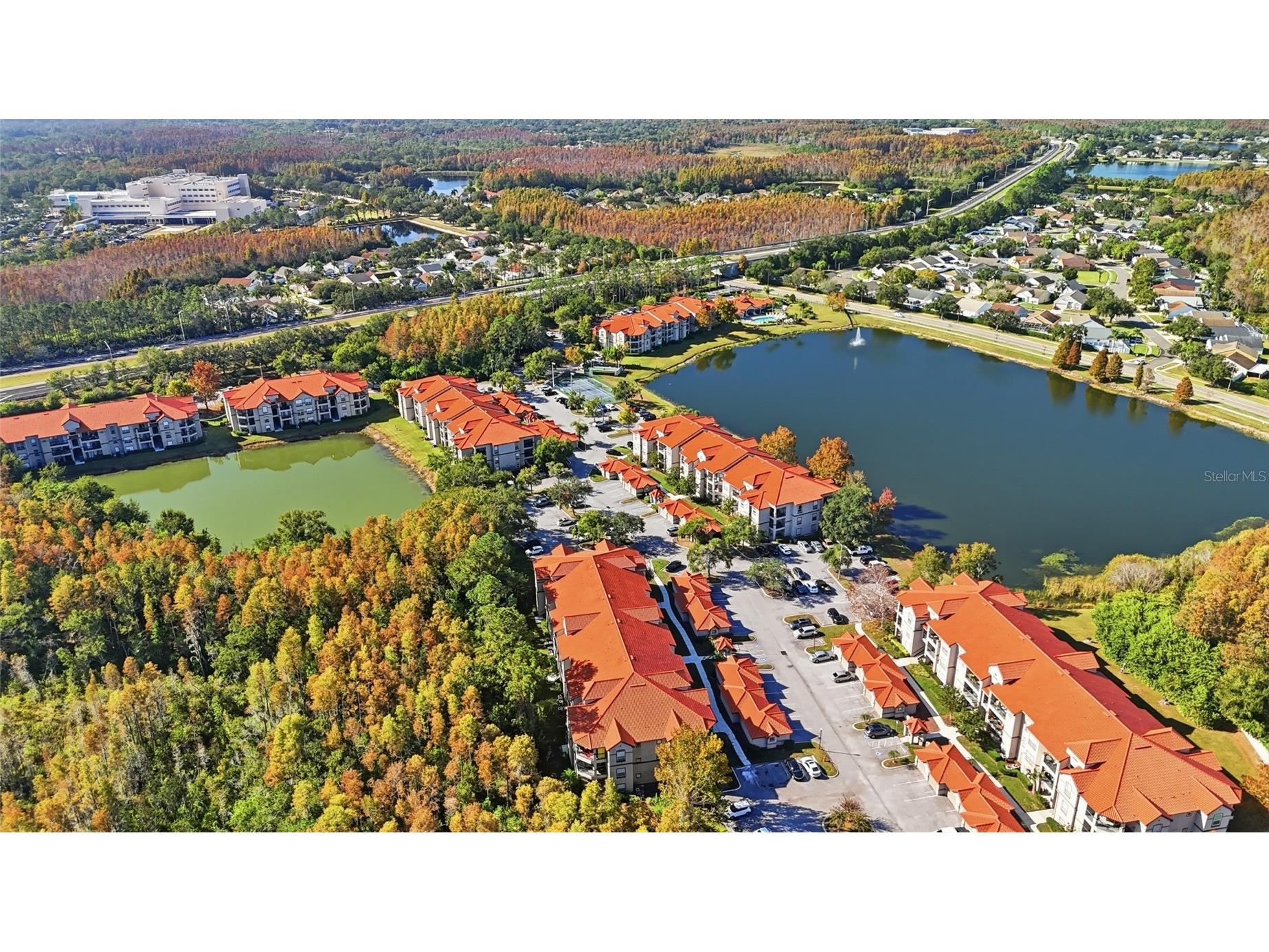 4201 Woodstorks Walk Way #3109 Lutz FL 33558 TB8452428 image28