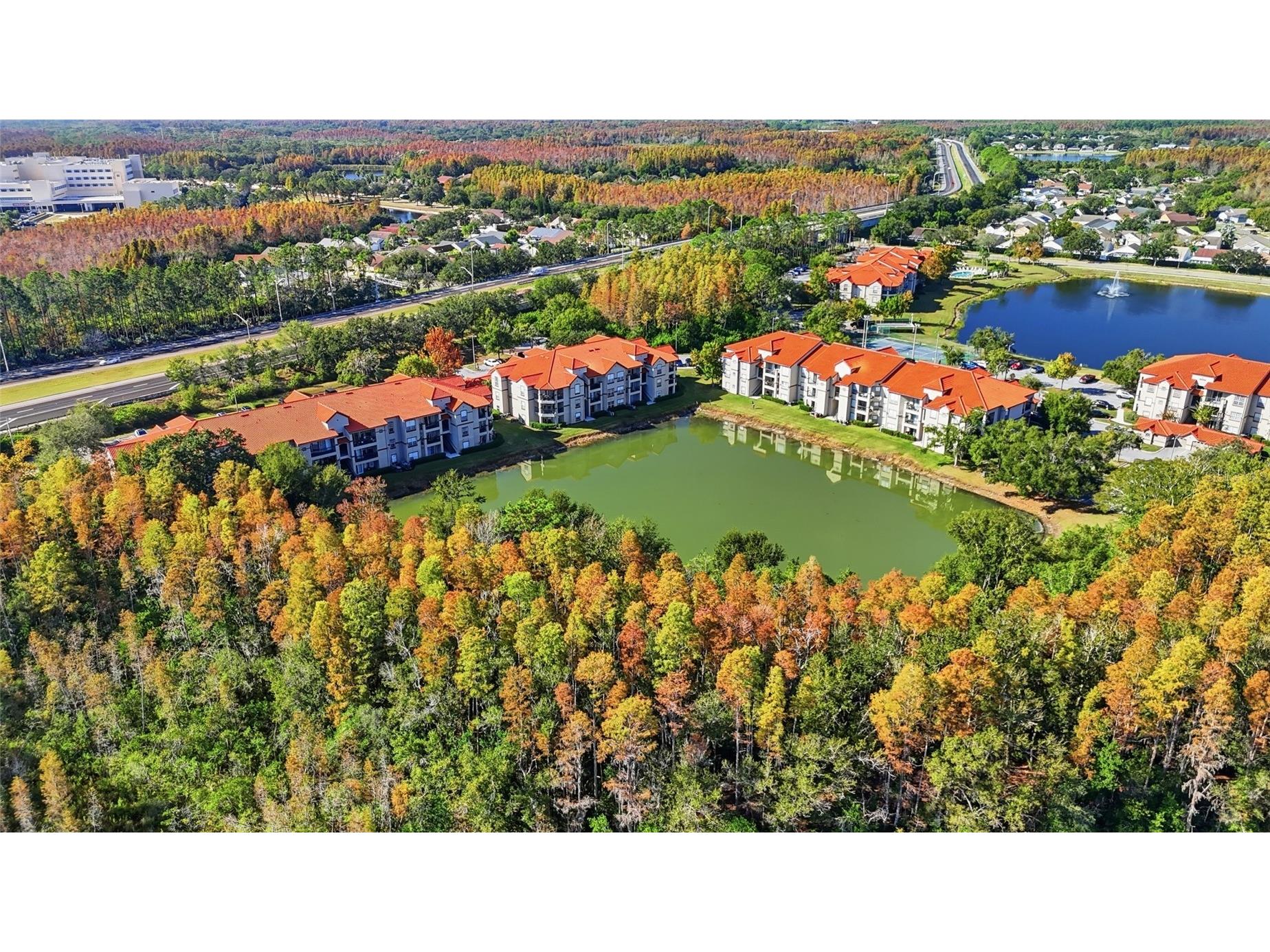 4201 Woodstorks Walk Way #3109 Lutz FL 33558 TB8452428 image29