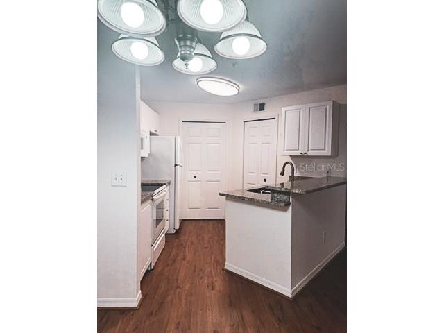 4201 Woodstorks Walk Way #3206 Lutz FL 33558 TB8449127 image11