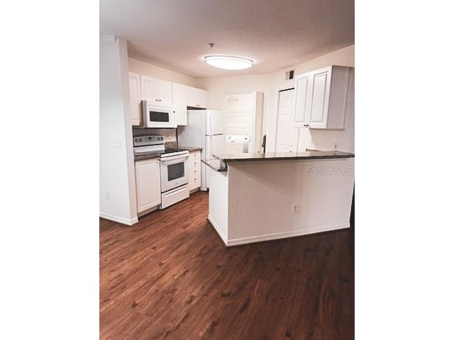 4201 Woodstorks Walk Way #3206 Lutz FL 33558 TB8449127 image12