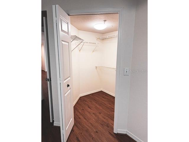 4201 Woodstorks Walk Way #3206 Lutz FL 33558 TB8449127 image14