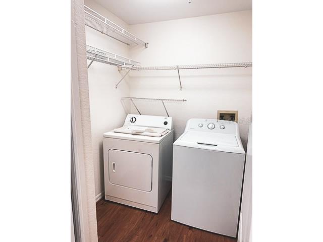 4201 Woodstorks Walk Way #3206 Lutz FL 33558 TB8449127 image8